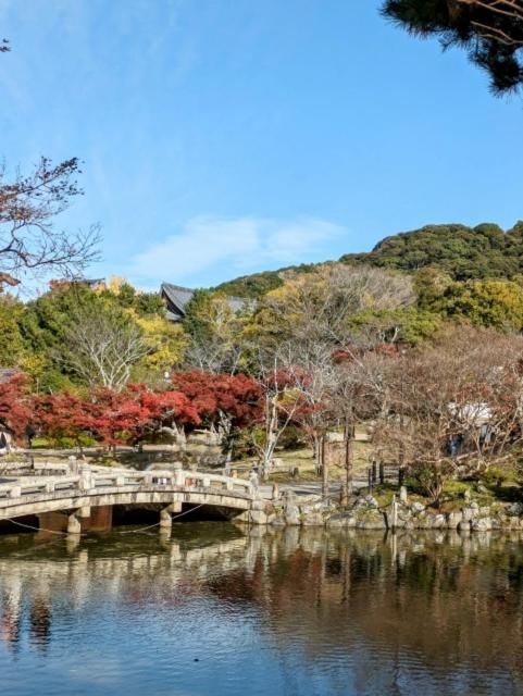 Gion Yasaka Guest House Saya كيوتو المظهر الخارجي الصورة
